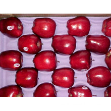 Sweet Red Fresh Huaniu Apple Supplier